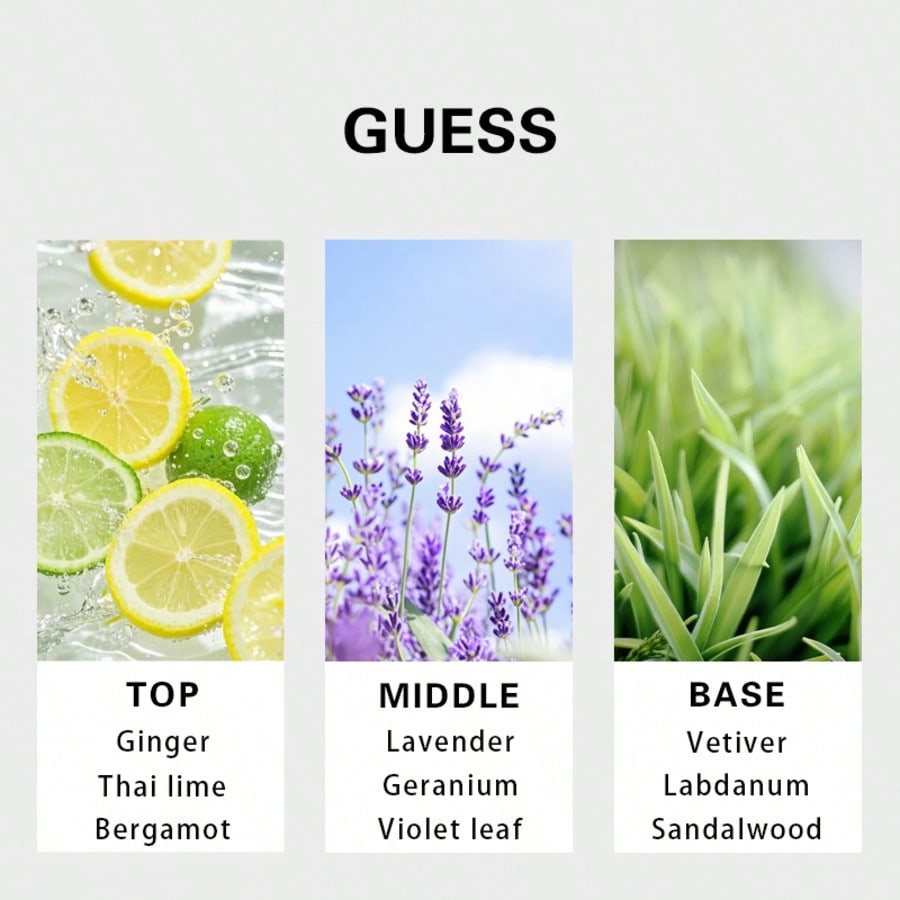 Guess Forever men Eau De Toile - огляд і ціна Perfume Fragrance Notes