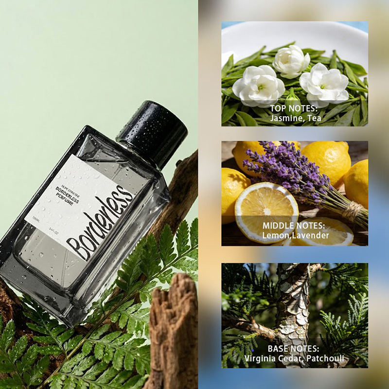Luxury Borderless Men Perfume  - огляд і ціна Perfume Lavender Fragrance